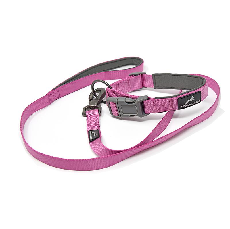 Top Rope™ Dog Collar, Metal Buckle & Strong Comfortable Webbing