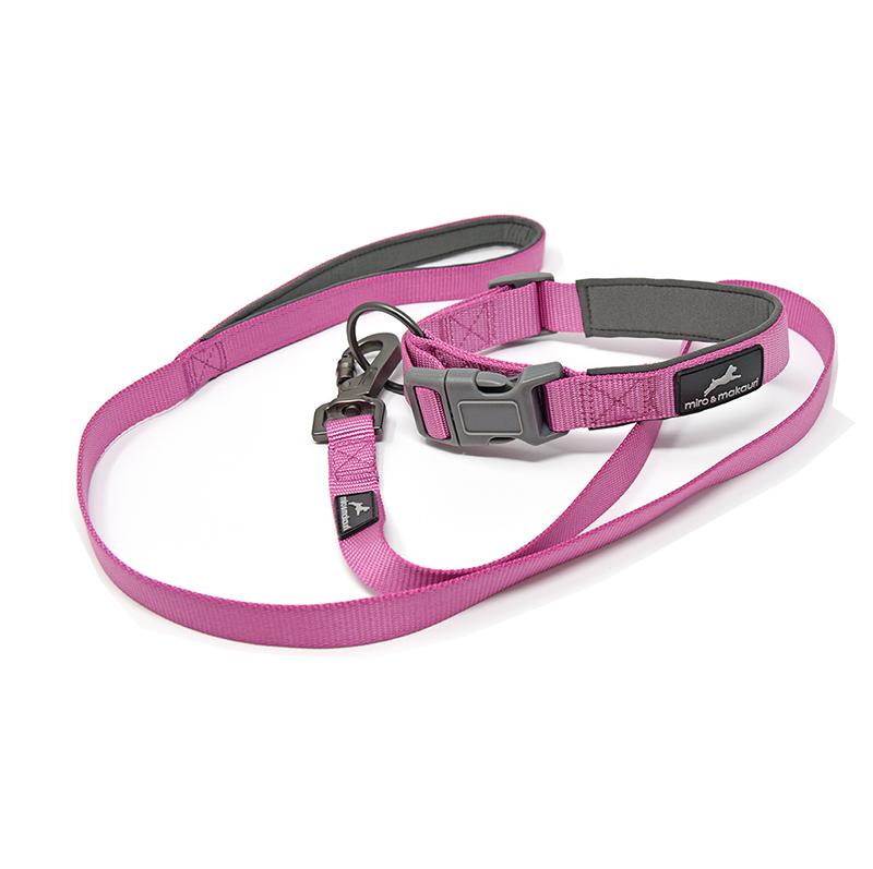 Outhwaite dog hot sale leads