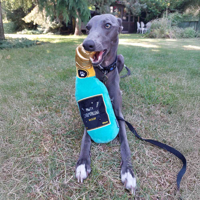 Pawty Champagne