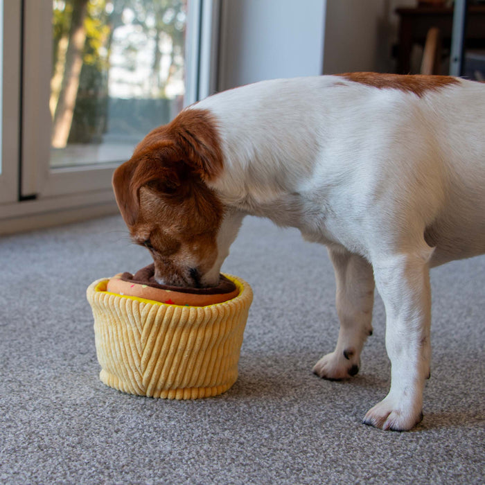 Pawty Snuffle Cupcake