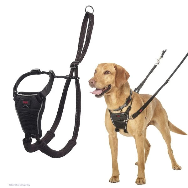 Halti Non-Pull Harness