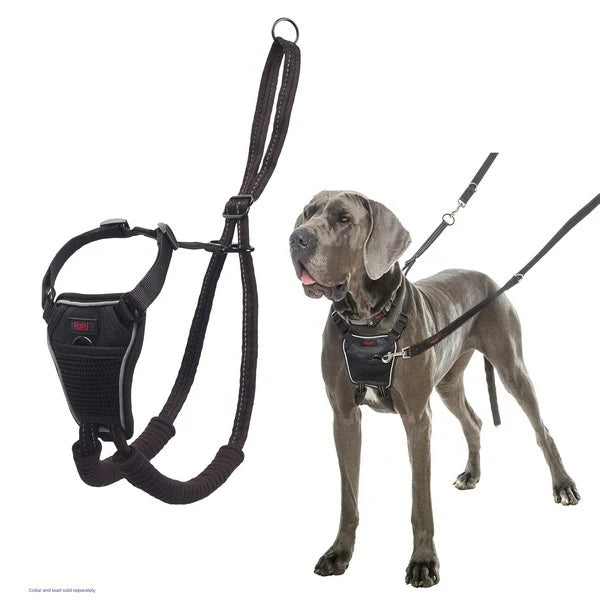 Halti Non-Pull Harness