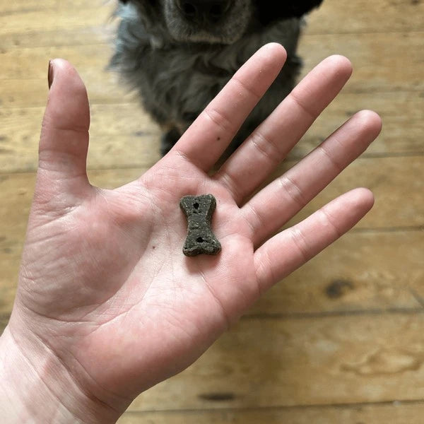 Beco Dog Choc Treats