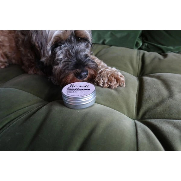 BeLoved Be Soft Pet Paw Balm Soothe and Nourish