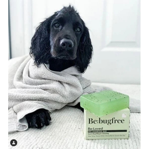 BeLoved Be Bug Free Insect repelling Pet Shampoo Bar