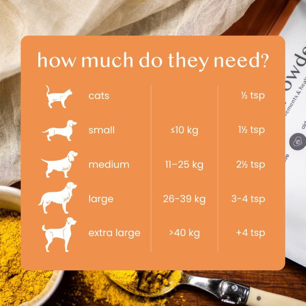 Natural Pumpkin Powder