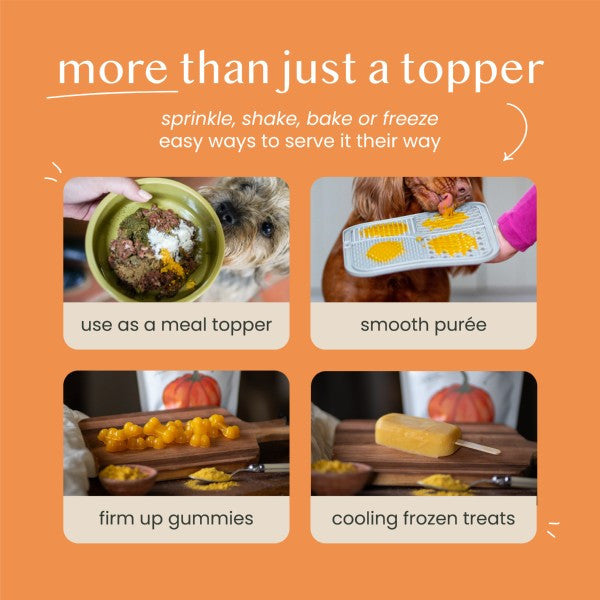 Natural Pumpkin Powder