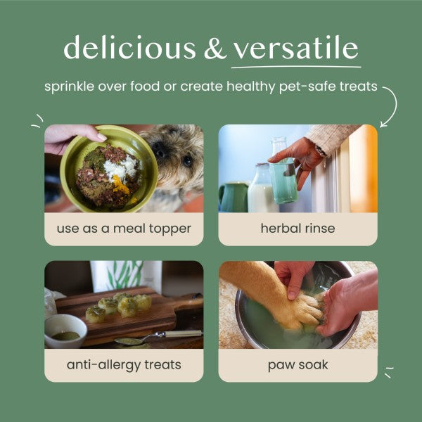 Natural Nettle Powder
