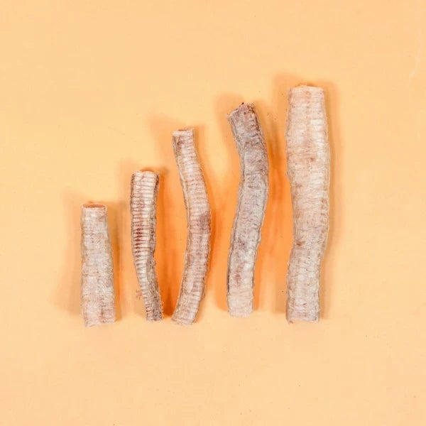 Freeze Dried Goose Trachea for Dogs & Cats
