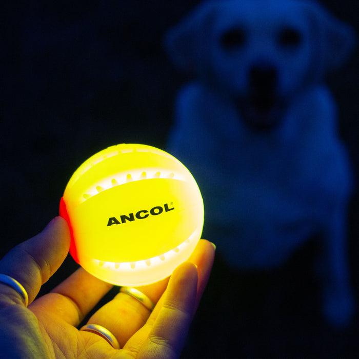 Usb Led Ball USB LED Ball — Natural Pet Centre