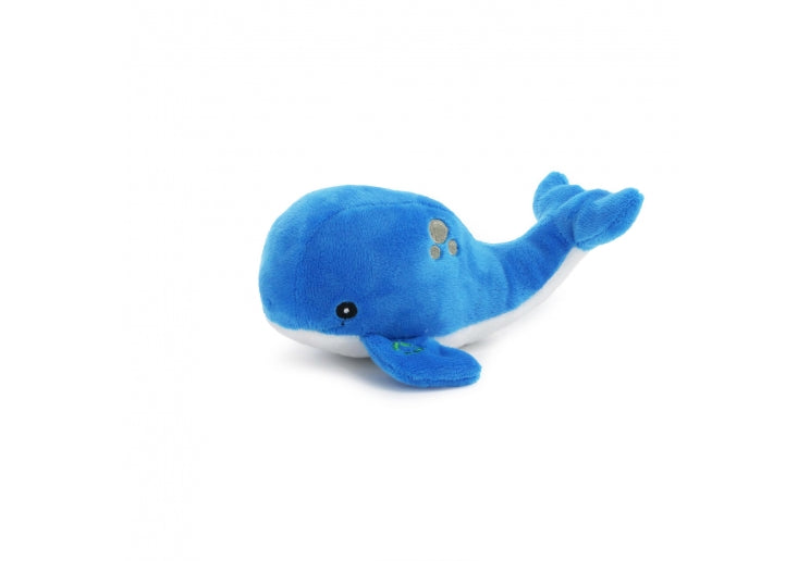 Made From Mini Shark Octopus and Oshi