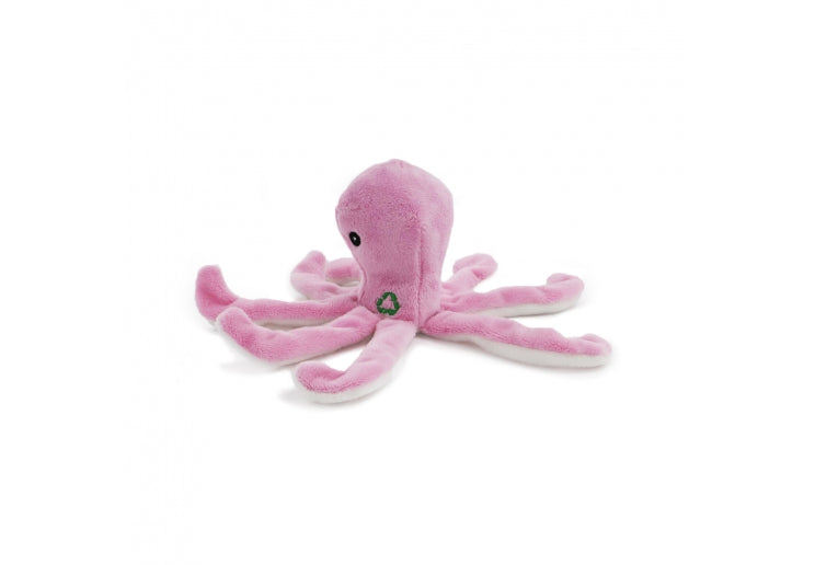 Made From Mini Shark Octopus and Oshi