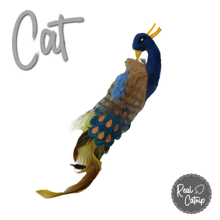 Persian Persuasion Peacock