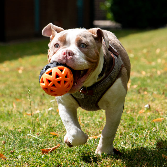 Extreme Floating Ball