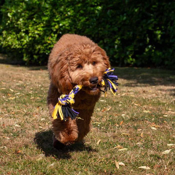 Playtime Tricoloured T-Shirt Rope Tug