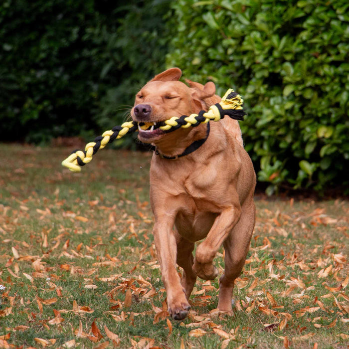Playtime Bumble Bee Ropey Twist