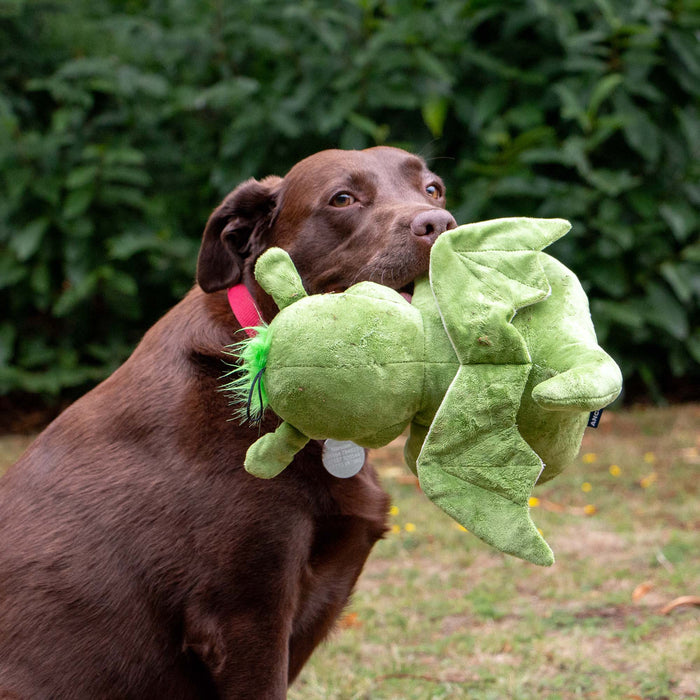 Cuddle Sprout the Dragon