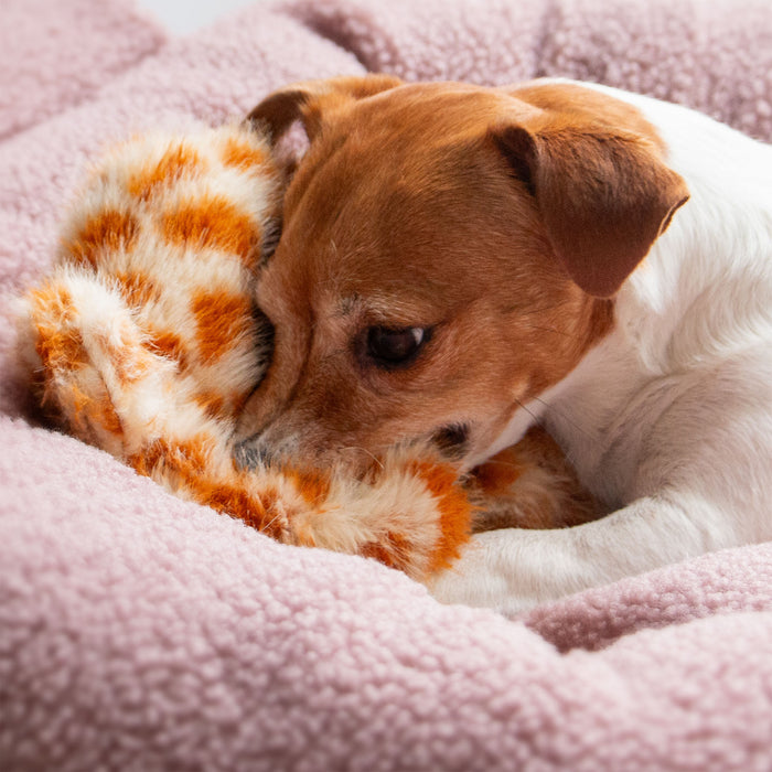 Cuddle Giraffe Floppet