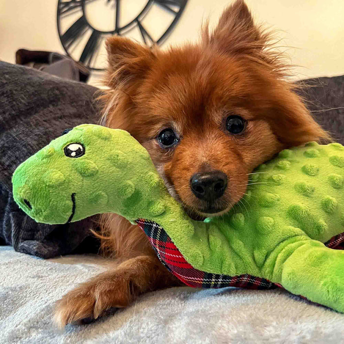 Cuddle Lottie Loch Ness Monsters