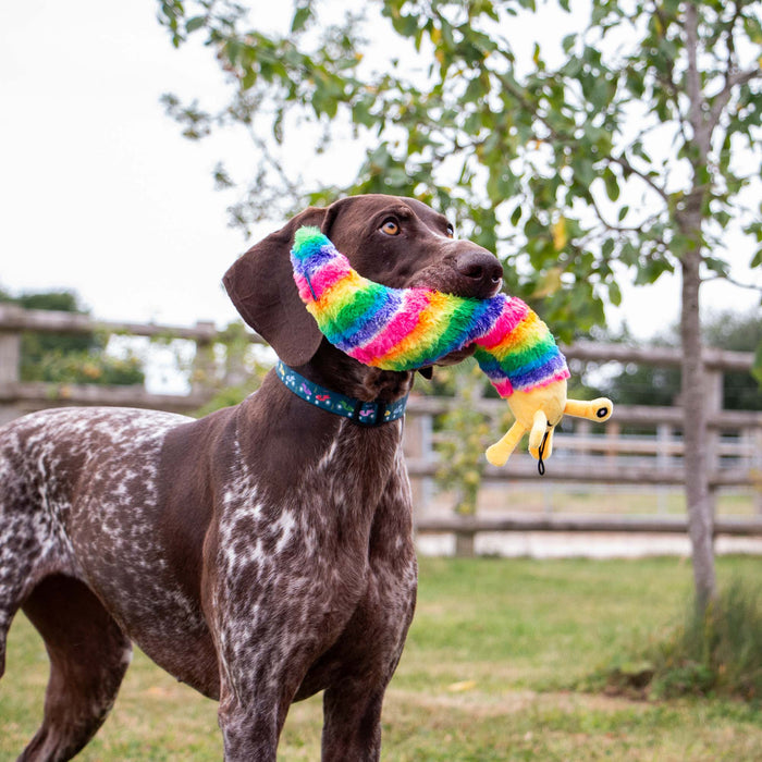 Cuddle Psychedelic Slug
