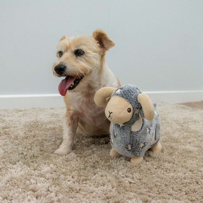 Cuddle Glow in Dark Sheep