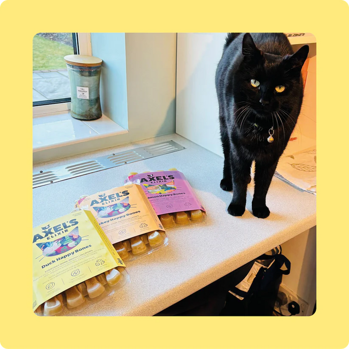 Duck Happy Bones Bone Broth for Cats