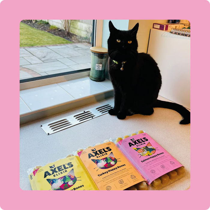 Salmon Happy Bones Bone Broth for Cats