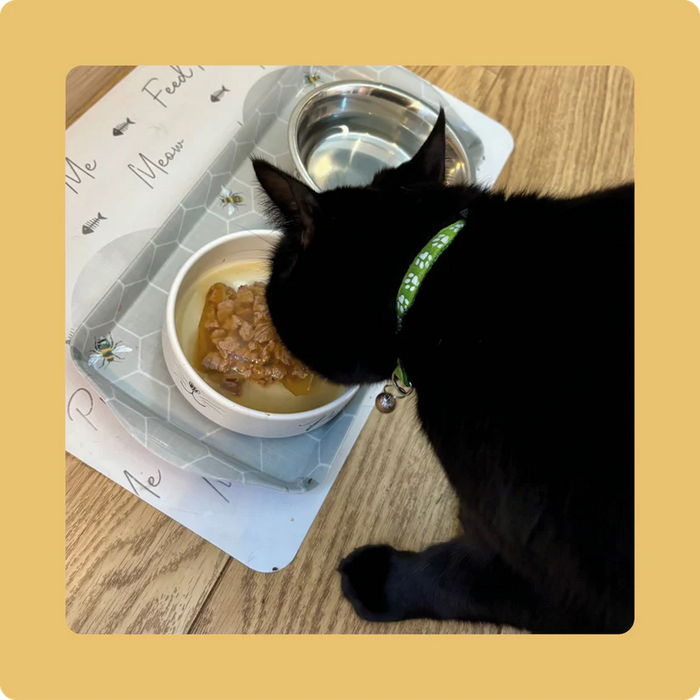 Turkey Happy Bones Bone Broth for Cats