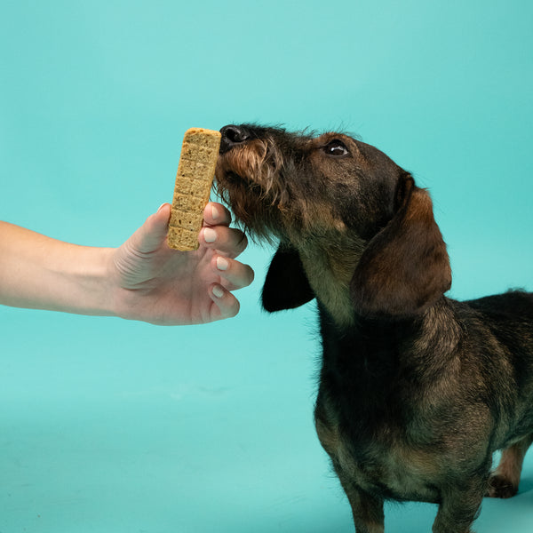 Meaty Chicken Strips