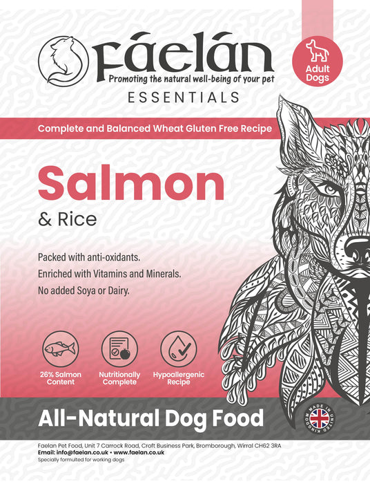 Essentials Salmon & Rice