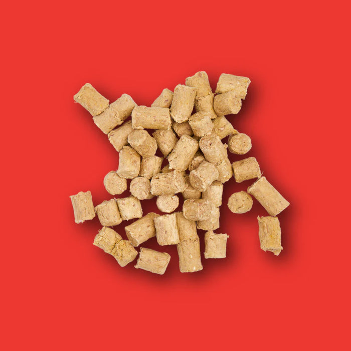 Freeze Dried Treats - Beef