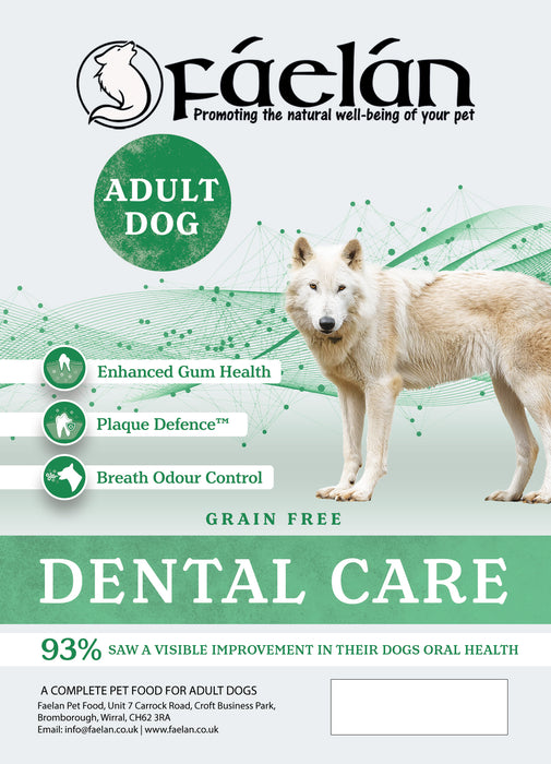 Support+ Dental Care