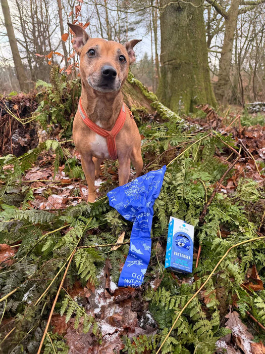 Battersea 100% Compostable Dog Poo Bags