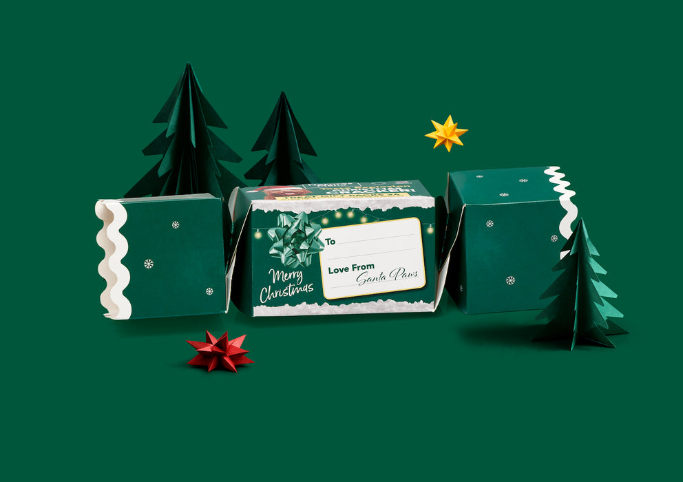 Christmas Cracker Treat