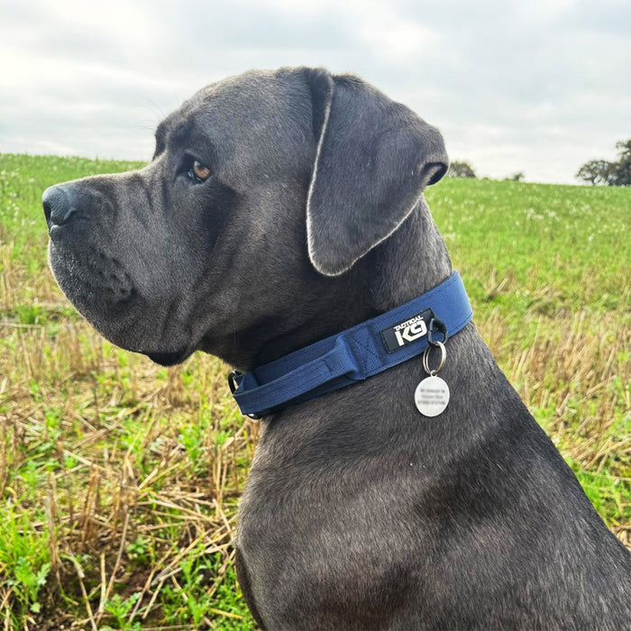 K9 Tactical Endurance Collar