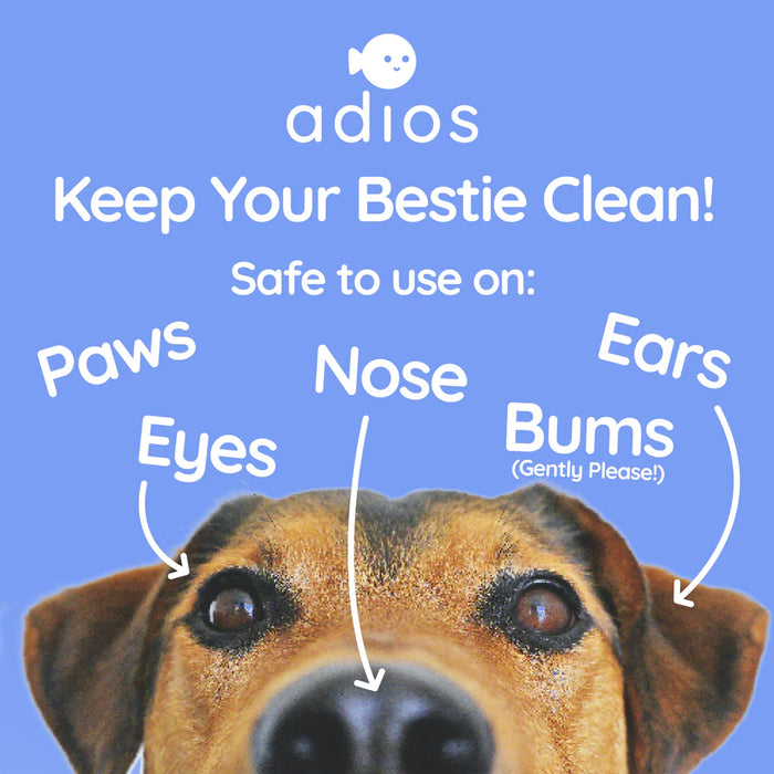 100% Compostable Pet Wipes