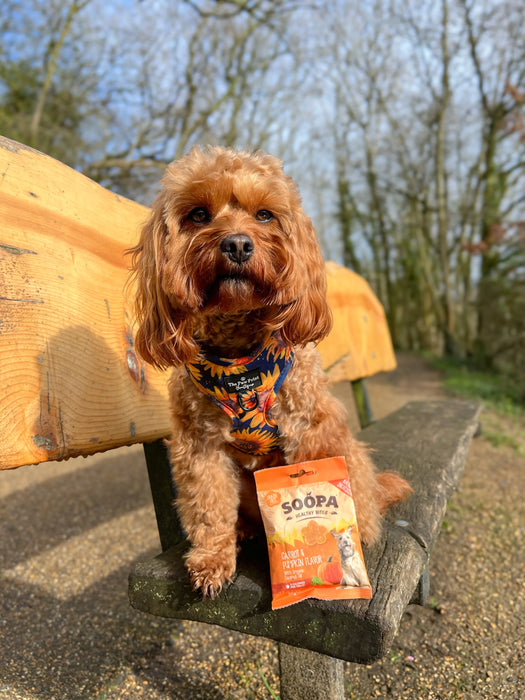 Soopa Healthy Bites Carrot & Pumpkin