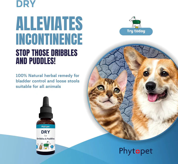 Phytopet Dry Herbal support for Dribbles and Puddles