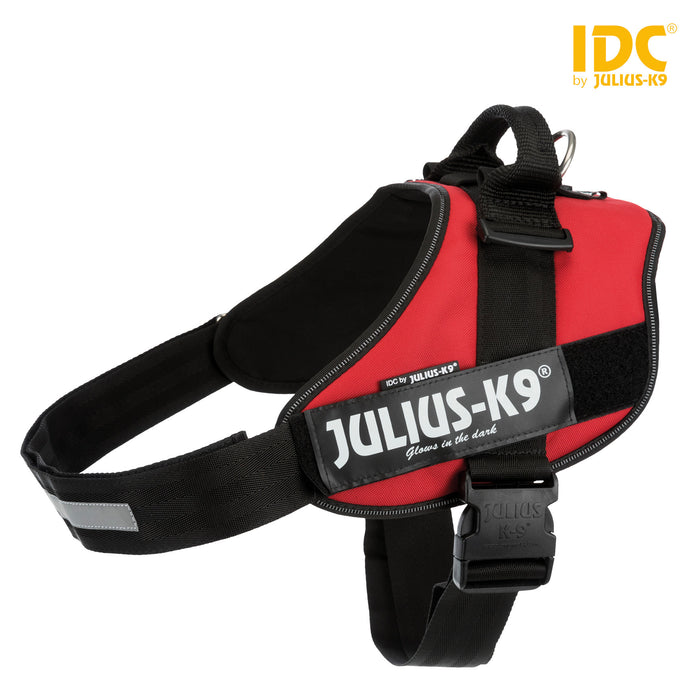 Julius-K9 IDC Power Harness