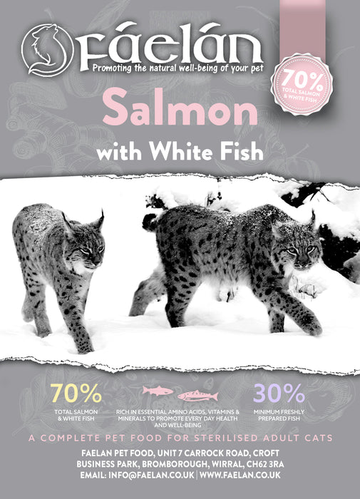 Salmon with White Fish - Cat