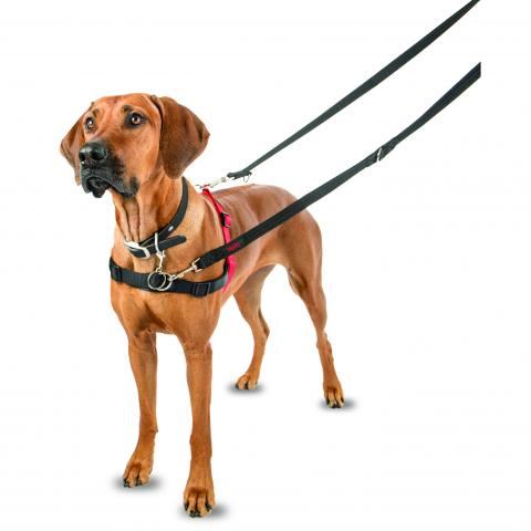 Halti Front Control Harness — Natural Pet Centre