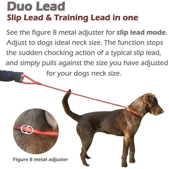 Slip Dog Lead with Figure 8 Training Aid.