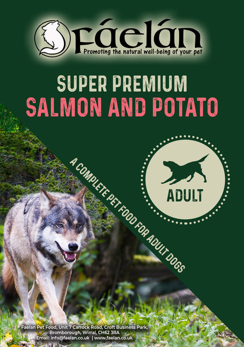 Super Premium Salmon & Potato