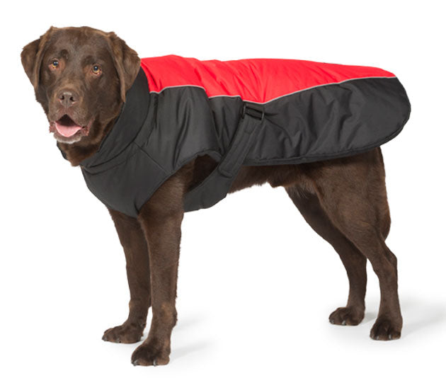 Sports Luxe Dog Coat