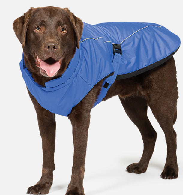 Sports Luxe Dog Coat