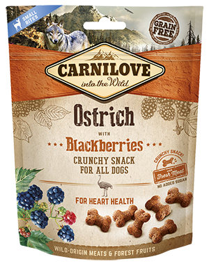 Ostrich with Blackberries Crunchy Treat