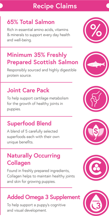 Superfood 65 Scottish Salmon - Puppy