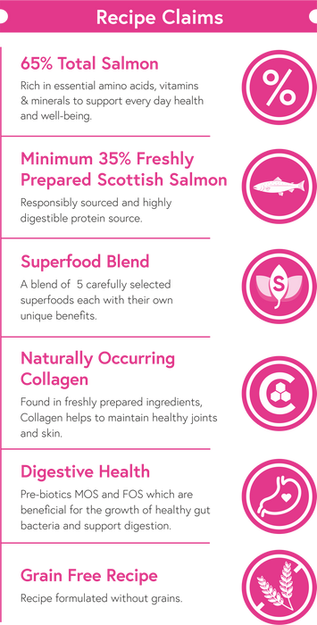 Superfood 65 Scottish Salmon - Small Breed